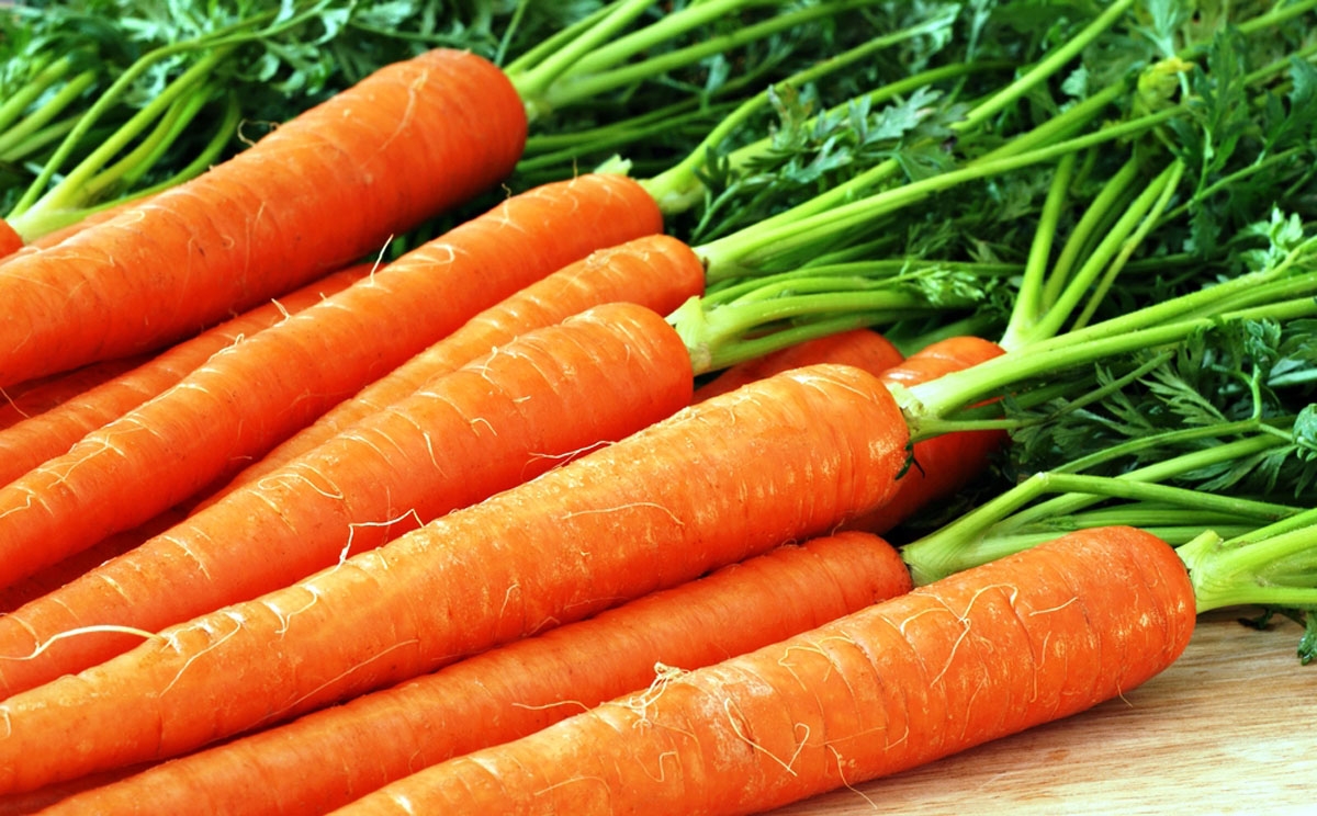 Реколта от моркови